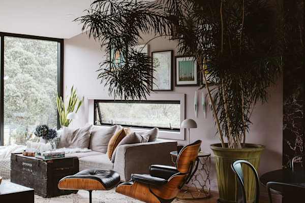 House sit in New Plymouth, New Zealand