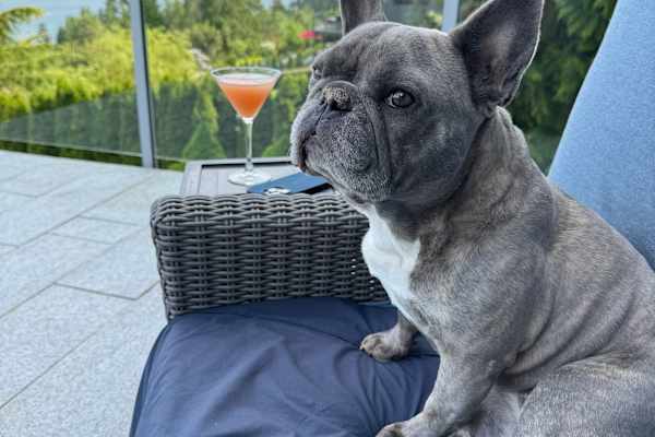 House sit in Gibsons, BC, Canada