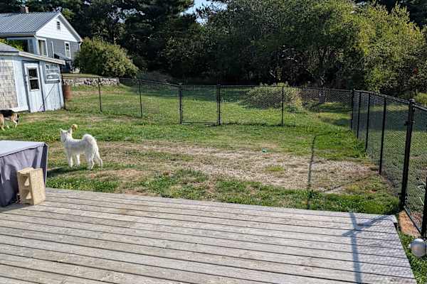 House sit in Chester, NS, Canada