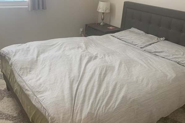 House sit in Tucson, AZ, US