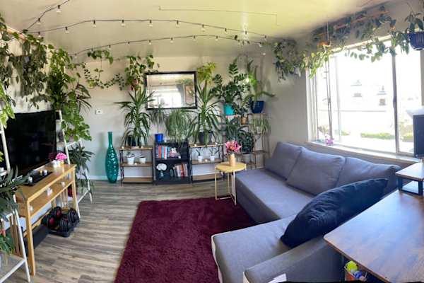 House sit in Denver, CO, US