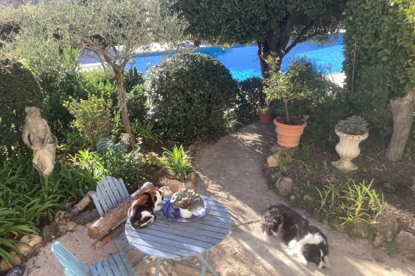 House sit in Tourrettes-sur-Loup, France