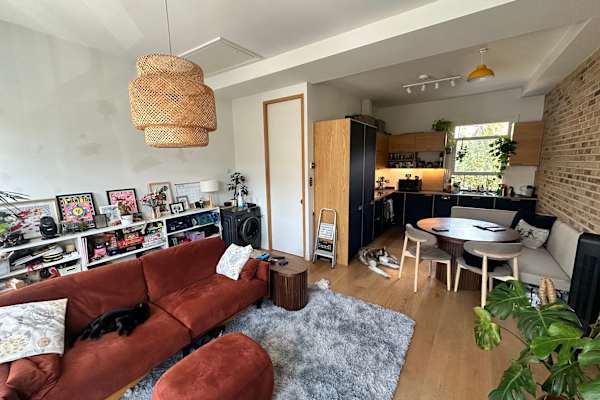 House sit in London, United Kingdom