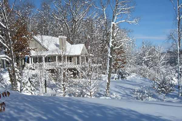 House sit in Chelsea, MI, US