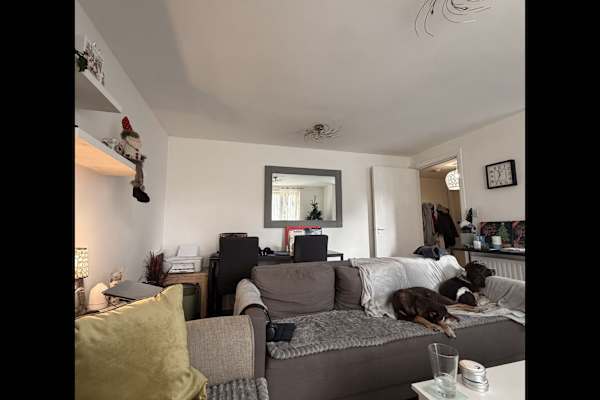 House sit in Basingstoke, United Kingdom