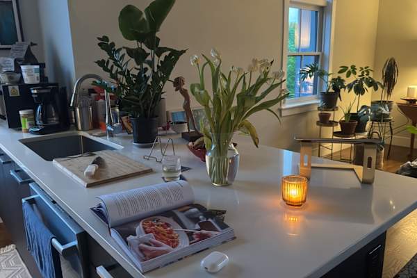 House sit in Boston, MA, US