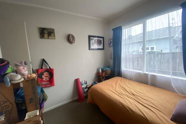 House sit in One Tree Hill, New Zealand