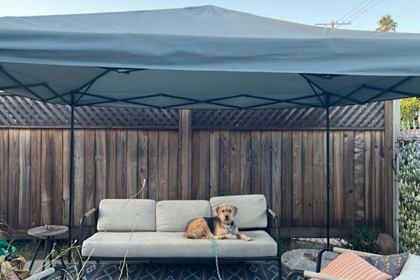 House sit in North Hollywood, CA, US