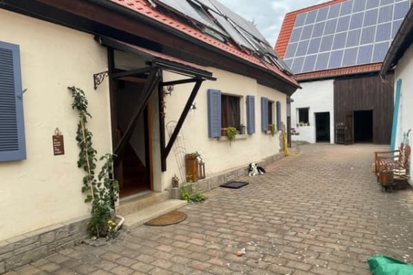 House sit in Mutterstadt, Germany