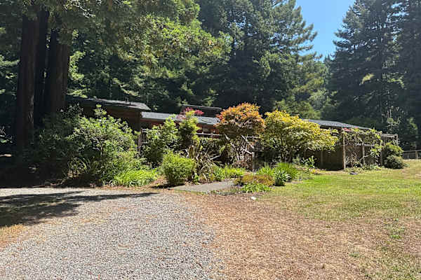 House sit in Eureka, CA, US