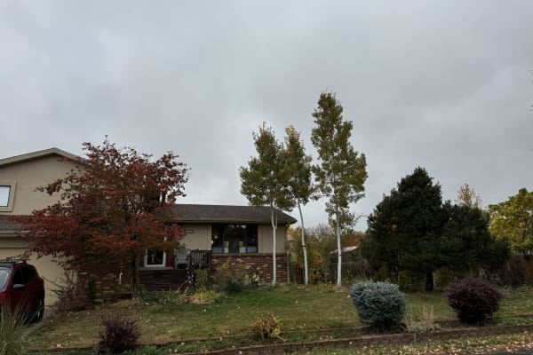 House sit in Golden, CO, US