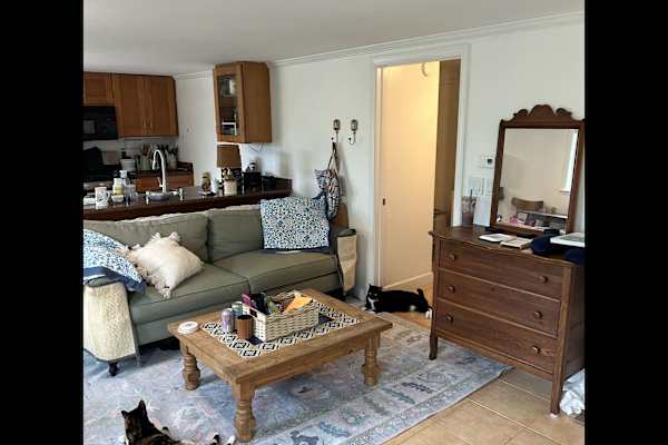 House sit in San Rafael, CA, US