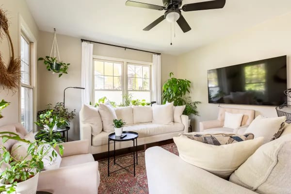 House sit in Asheville, NC, US