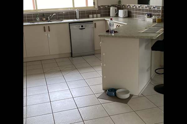 House sit in Newcastle, NSW, Australia