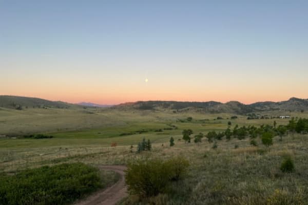House sit in Red Feather Lakes, CO, US