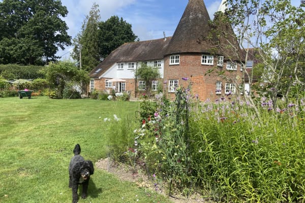 House sit in Rye, United Kingdom