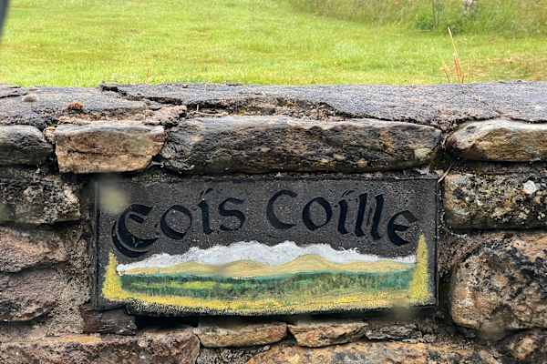 House sit in Dungarvan, Ireland