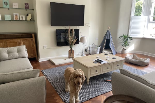 House sit in Cheltenham, United Kingdom