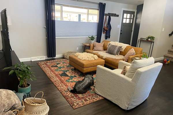 House sit in Arvada, CO, US