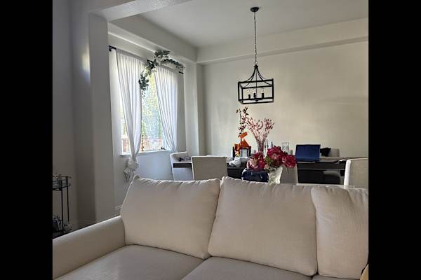 House sit in South Lake Tahoe, CA, US