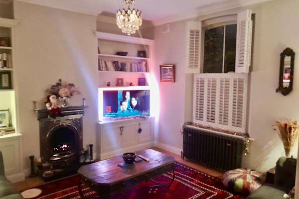 House sit in Dublin, Ireland