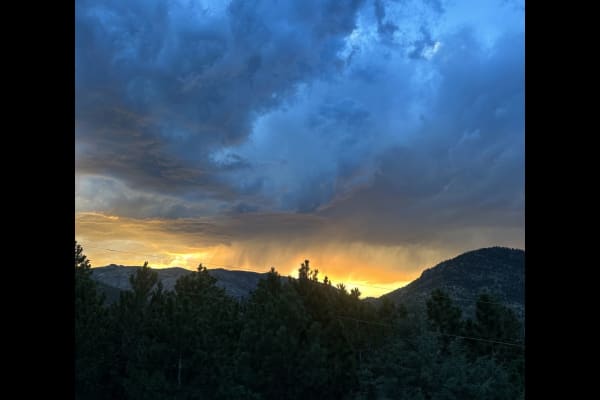 House sit in Lyons, CO, US