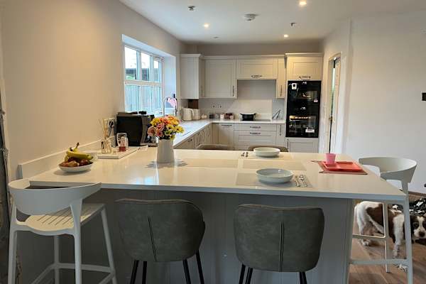 House sit in Ruthin, United Kingdom