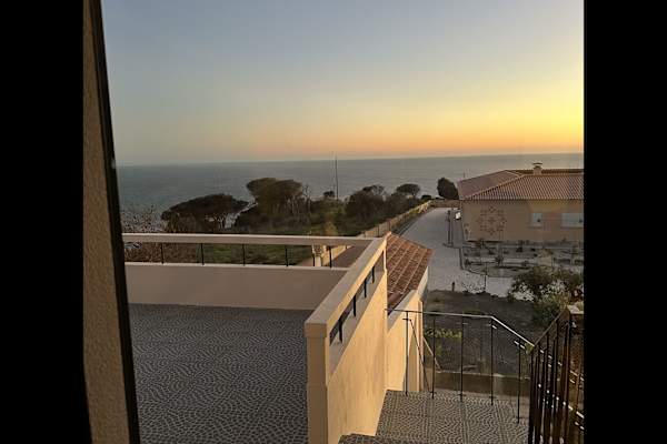 House sit in Figueira da Foz, Portugal