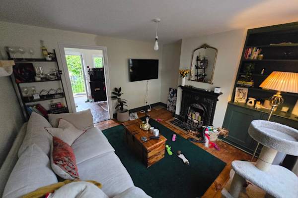 House sit in Haslemere, United Kingdom