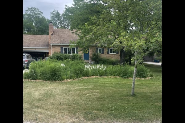 House sit in Ann Arbor, MI, US