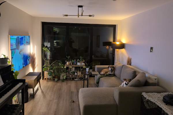 House sit in Cardiff, United Kingdom