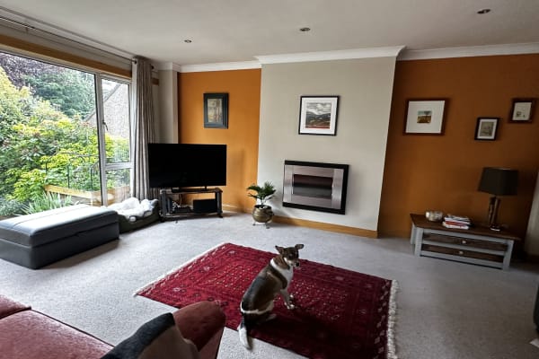 House sit in Edinburgh, United Kingdom