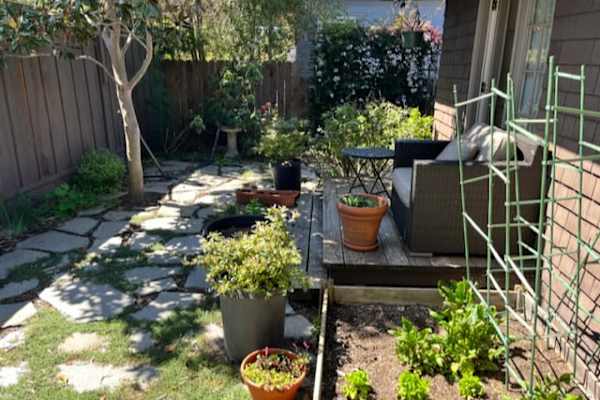 House sit in Berkeley, CA, US