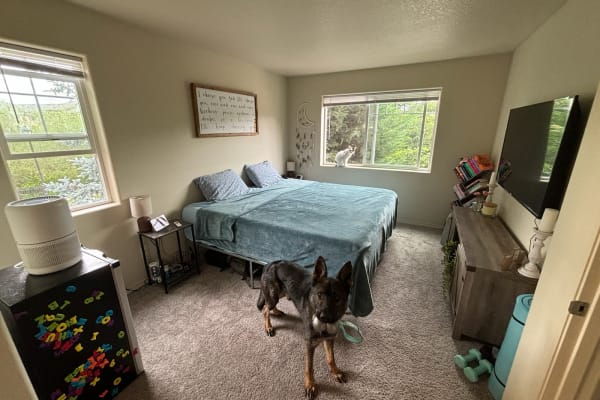 House sit in Hillsboro, OR, US