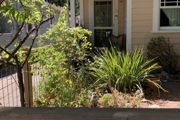 House sit in Fairfax, CA, US