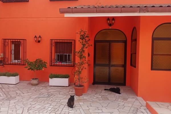 House sit in Rome, Italy