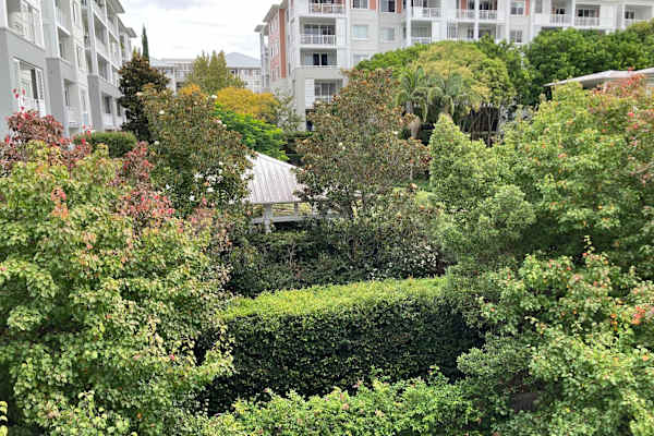 House sit in Sydney, NSW, Australia