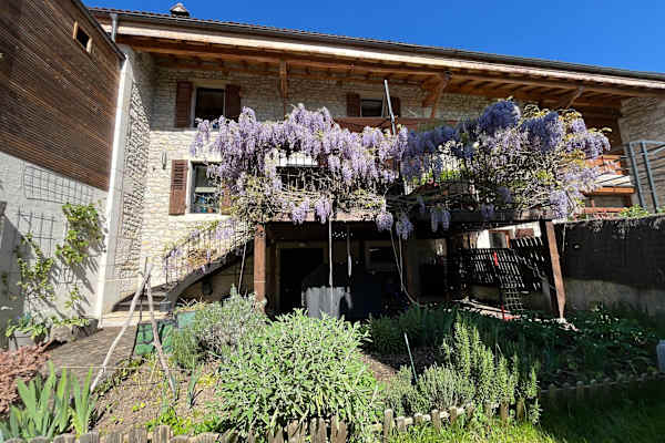 House sit in Ferney-Voltaire, France