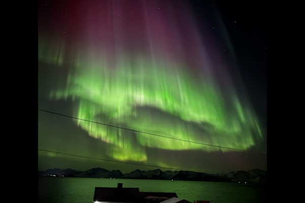 House sit in Skjervøy, Norway
