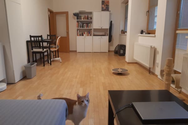 House sit in Prague, Czech Republic