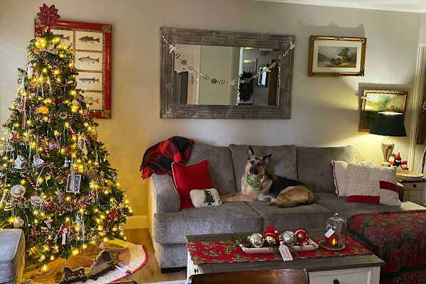 House sit in Lake Oswego, OR, US