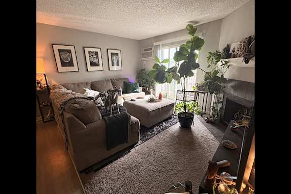 House sit in Lakewood, CO, US