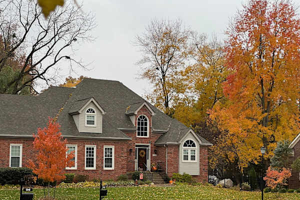 House sit in Louisville, KY, US