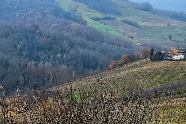 House sit in Stradella, Italy