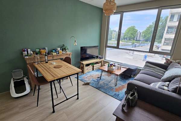 House sit in Amsterdam, Netherlands