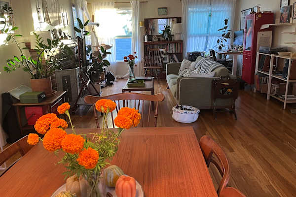 House sit in South Pasadena, CA, US