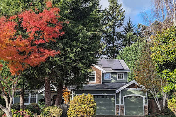 House sit in Gig Harbor, WA, US