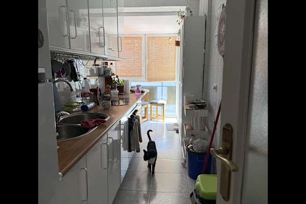 House sit in Granada, Spain