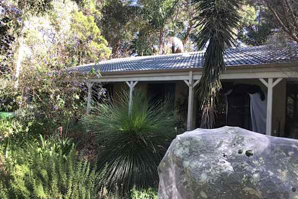 House sit in Perth, WA, Australia