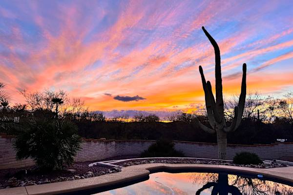 House sit in Tucson, AZ, US